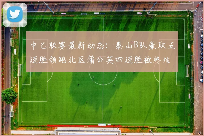 中乙联赛最新动态：泰山B队豪取五连胜领跑北区蒲公英四连胜被终结